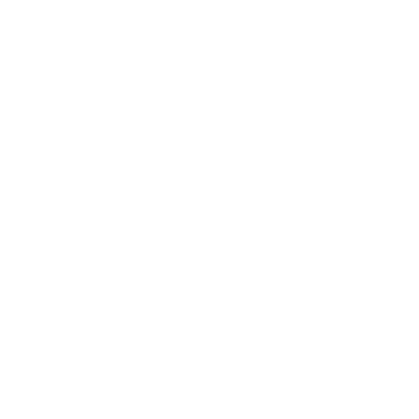SW Logo